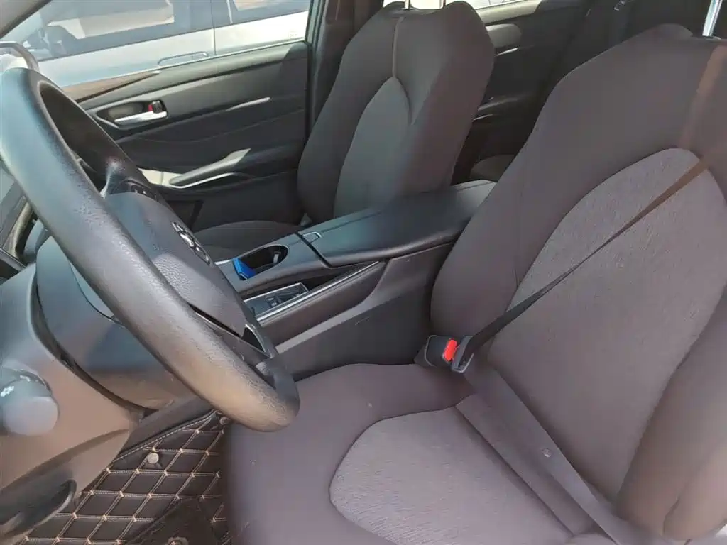 Asia Dragon 2023 2.0L Advanced Edition купить на сайте DeffCars