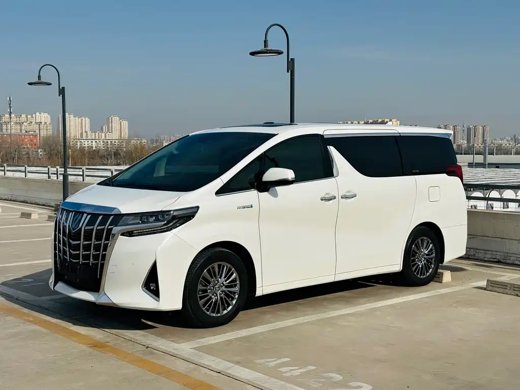Alfa 2021 Shuangqing 2.5L Premium Edition купить на сайте DeffCars