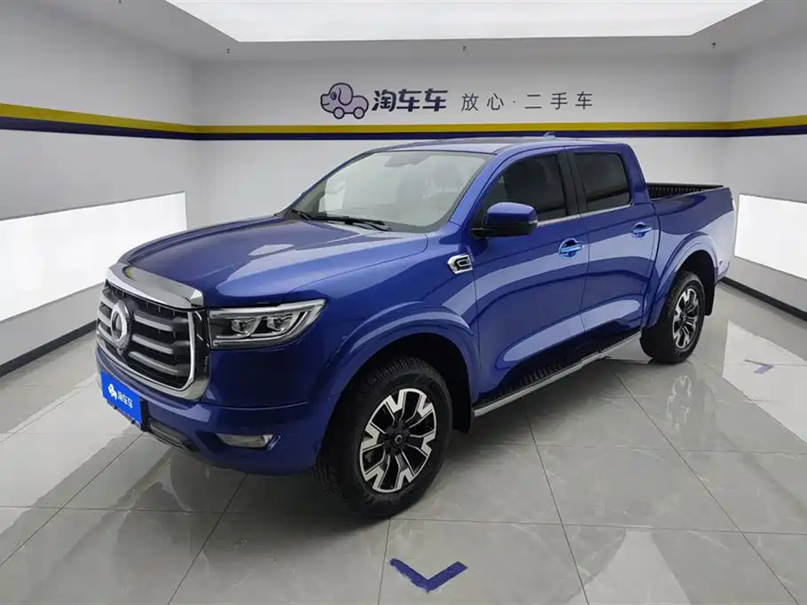 Cannon 2019 2.0T automatic gasoline two-wheel drive comfort version GW4C20B купить на сайте DeffCars
