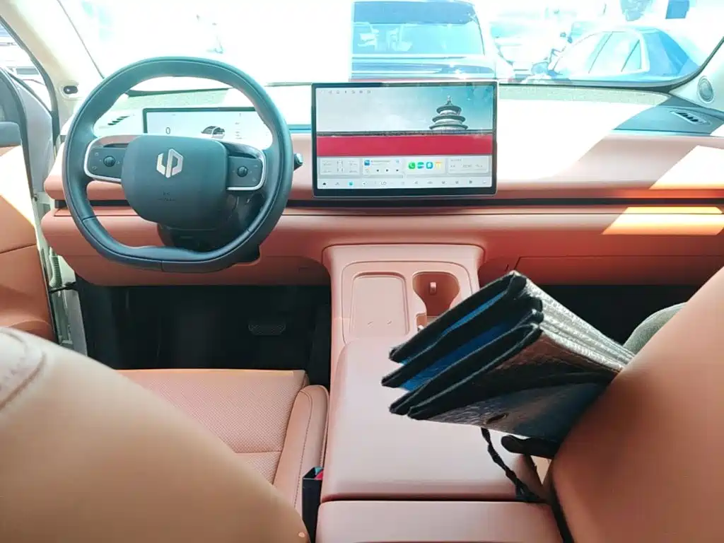 Leapmoo C16 2024 Pure Electric 520 Exclusive Edition купить на сайте DeffCars