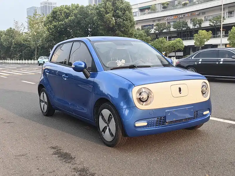 Euler Black Cat 2019 351km parent-child version купить на сайте DeffCars