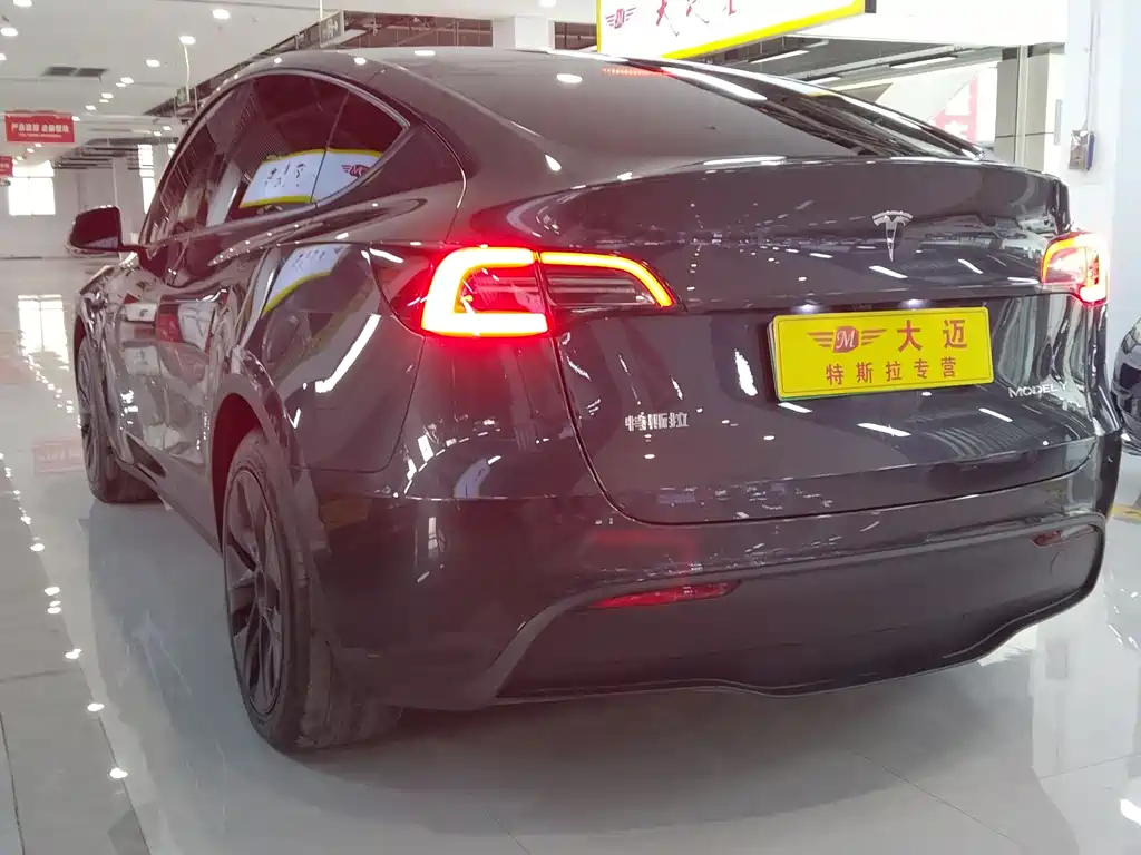 Model Y 2024 rear-wheel drive version купить на сайте DeffCars