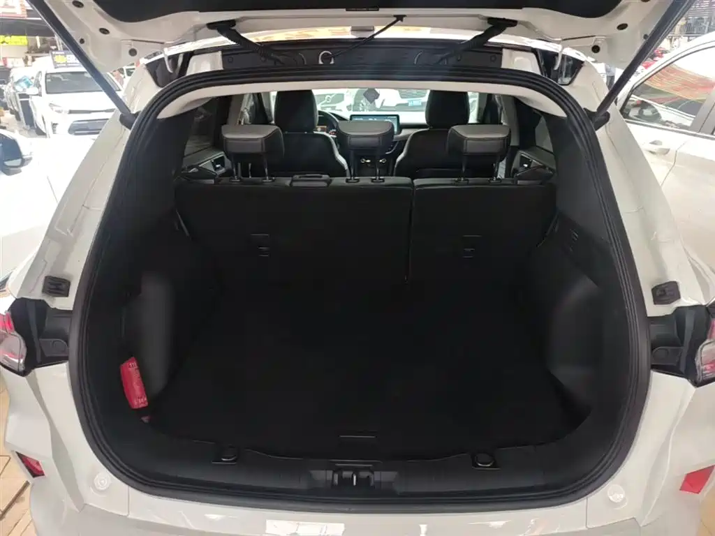 Ruiji 2020 EcoBoost 245 two-wheel drive Yaoxiang model купить на сайте DeffCars