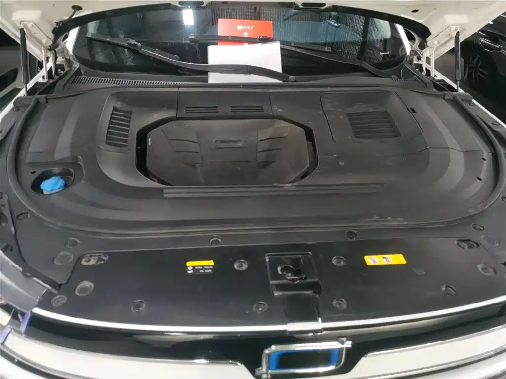 Pentium T99 2023 2.0T automatic premium model купить на сайте DeffCars
