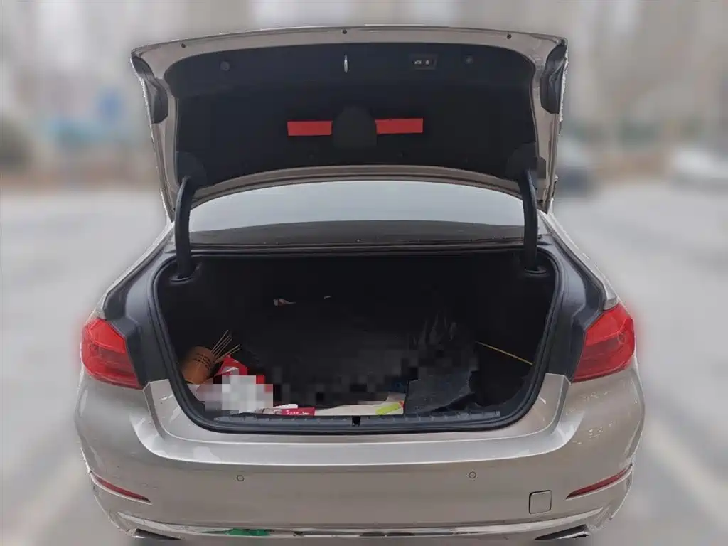 BMW 5 Series 2020 530Li Exclusive Luxury Package купить на сайте DeffCars