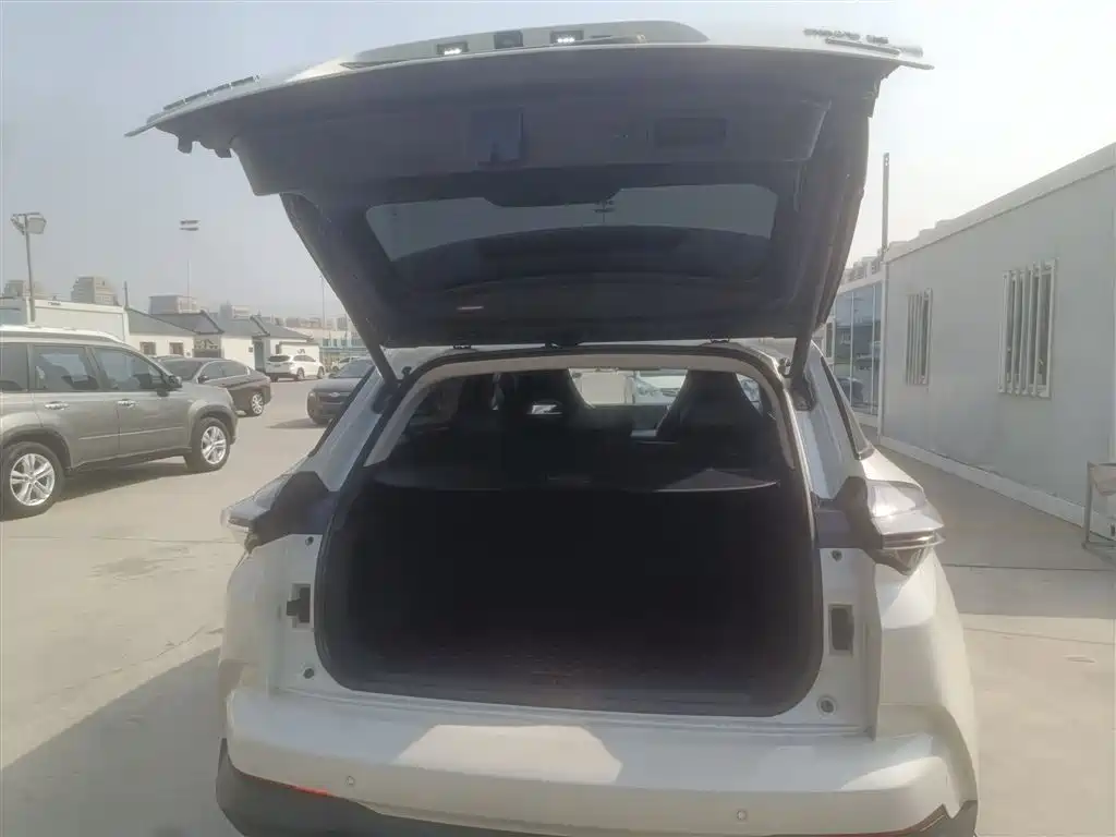 Nezha U 2021 Pro 500 Global Edition купить на сайте DeffCars