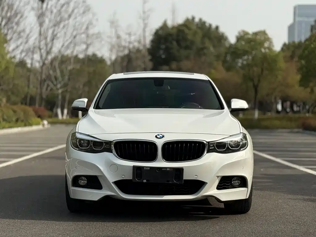 BMW 3 Series GT 2019 320i M Sports купить на сайте DeffCars