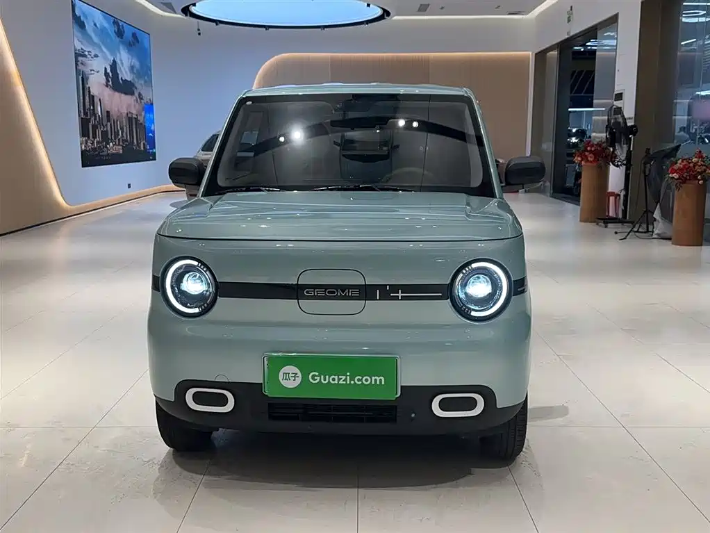 Panda 2025 Panda mini 210km Yuanqi Bear купить на сайте DeffCars