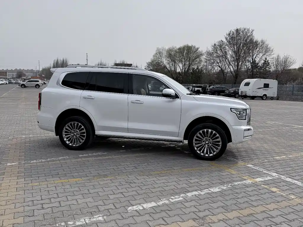 Tank 500 2023 model 3.0T business version environment type 5 seats купить на сайте DeffCars