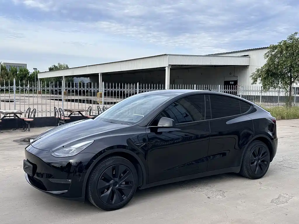 Model Y 2024 long-range all-wheel drive version купить на сайте DeffCars