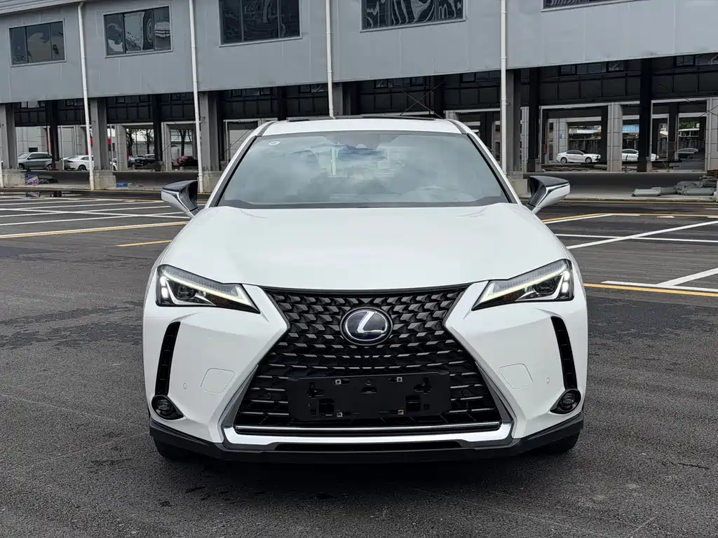 Lexus UX New Energy 2020 300e Pure Joy Edition купить на сайте DeffCars