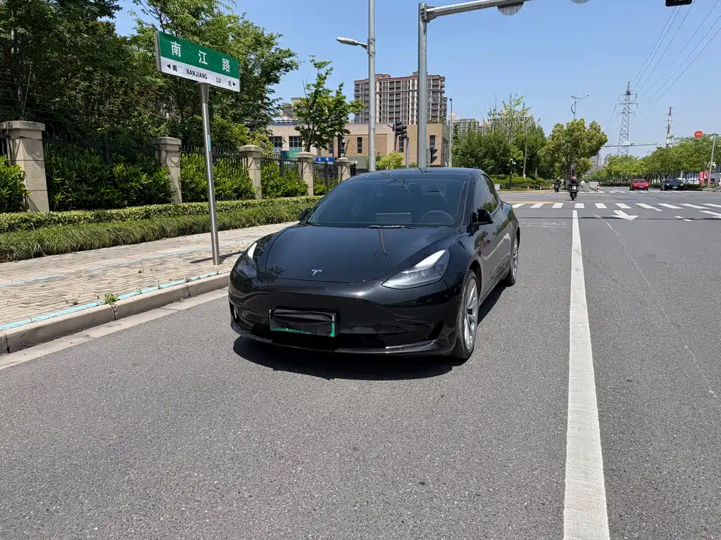 Model 3 2022 rear-wheel drive version купить на сайте DeffCars