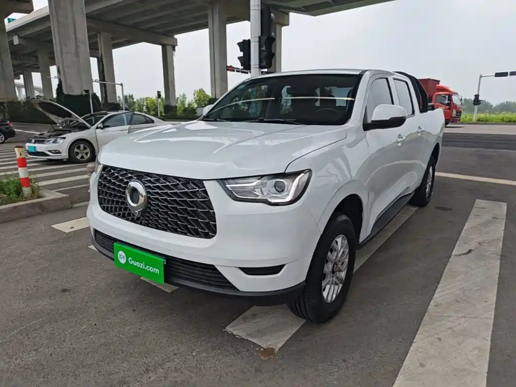 Cannon (Poer) 2019 2.0T Commercial Manual Diesel 2WD Elite Long Case GW4D20M купить на сайте DeffCars