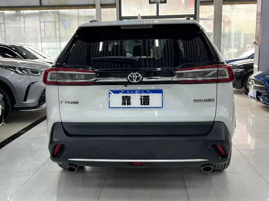 Wilanda 2023 2.0L CVT two-wheel drive luxury PLUS version купить на сайте DeffCars
