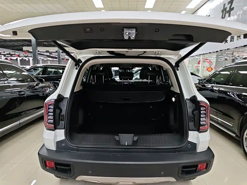 Haval Big Dog 2022 1.5T DCT two-wheel drive Border Collie version купить на сайте DeffCars