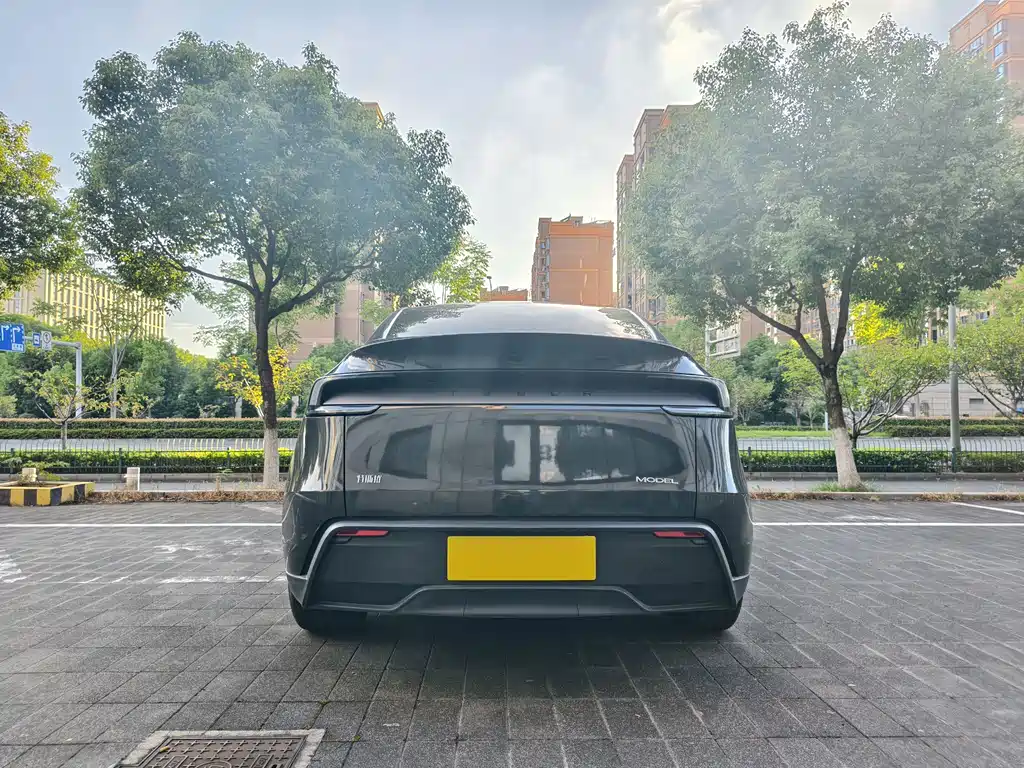 Model Y 2025 rear-wheel drive version купить на сайте DeffCars