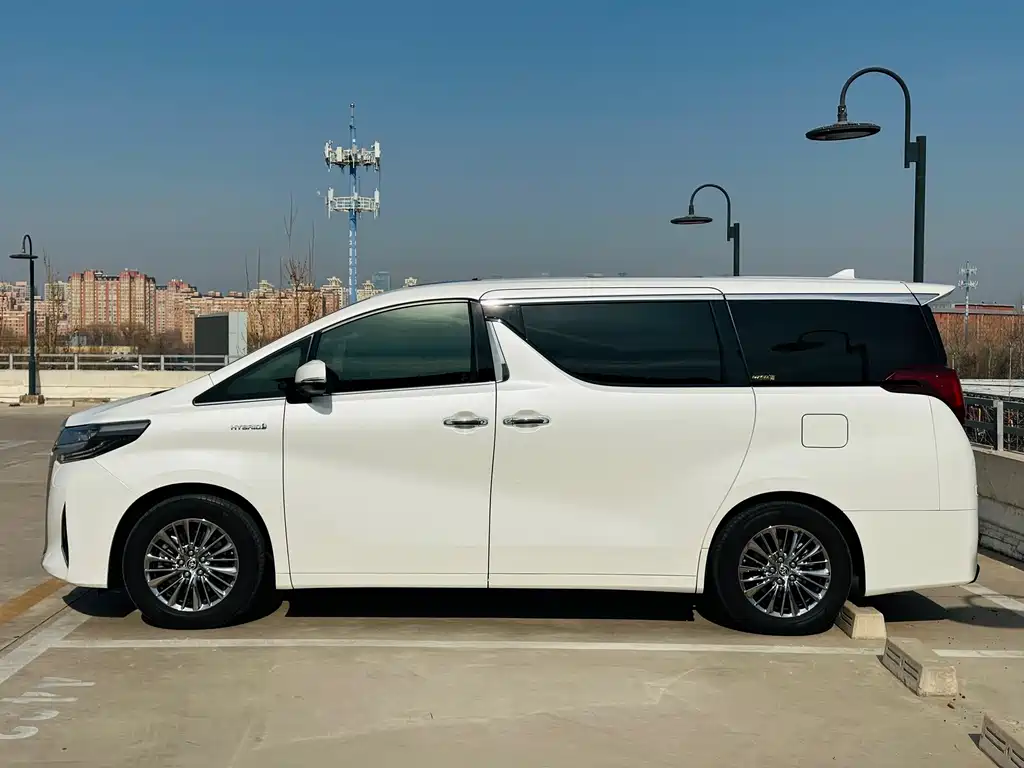 Alfa 2021 Shuangqing 2.5L Premium Edition купить на сайте DeffCars