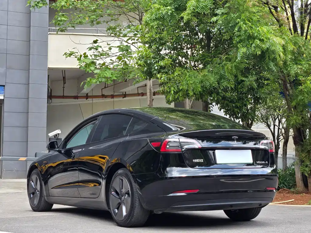 Model 3 2022 rear-wheel drive version купить на сайте DeffCars