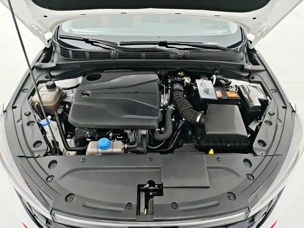 EADO 2023 Enjoy Edition PLUS Blue Whale NE 1.4T GDI DCT Premium Edition купить на сайте DeffCars