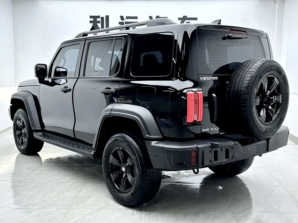 Tank 300 2025 2.0T Gasoline Conqueror купить на сайте DeffCars