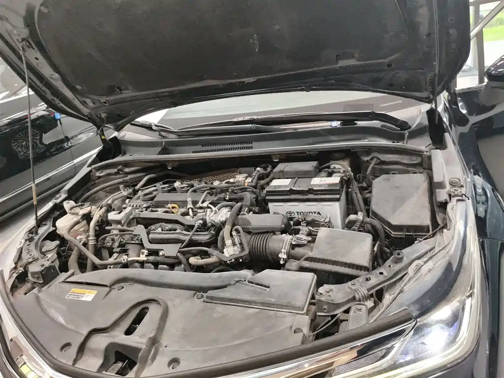 Asia Lion 2021 2.0L flagship version купить на сайте DeffCars