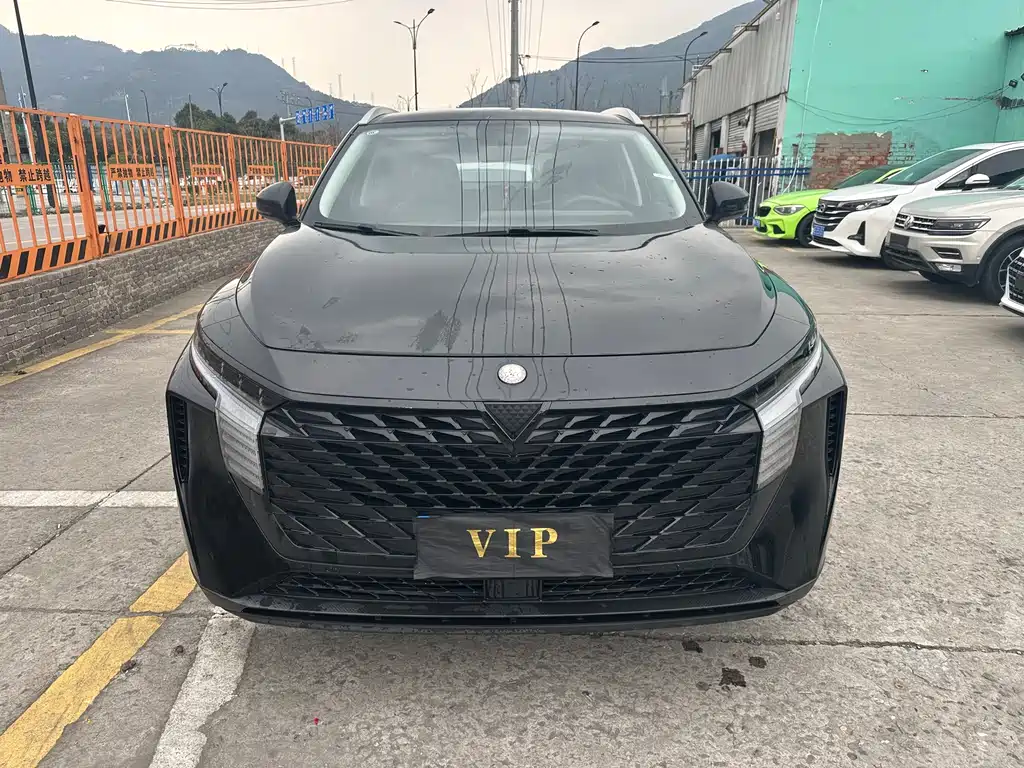 Venucia Big V 2022 260T customized version·idou купить на сайте DeffCars