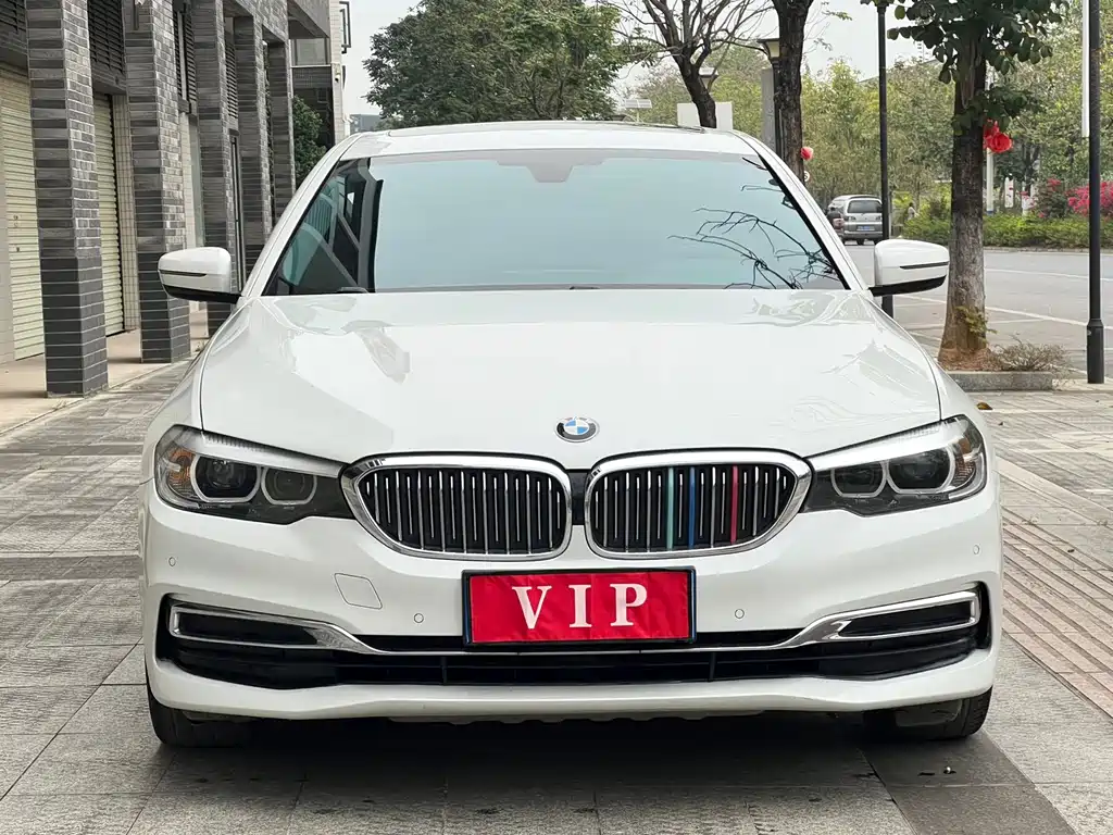 BMW 5 Series 2019 530Li Leading Luxury Package купить на сайте DeffCars