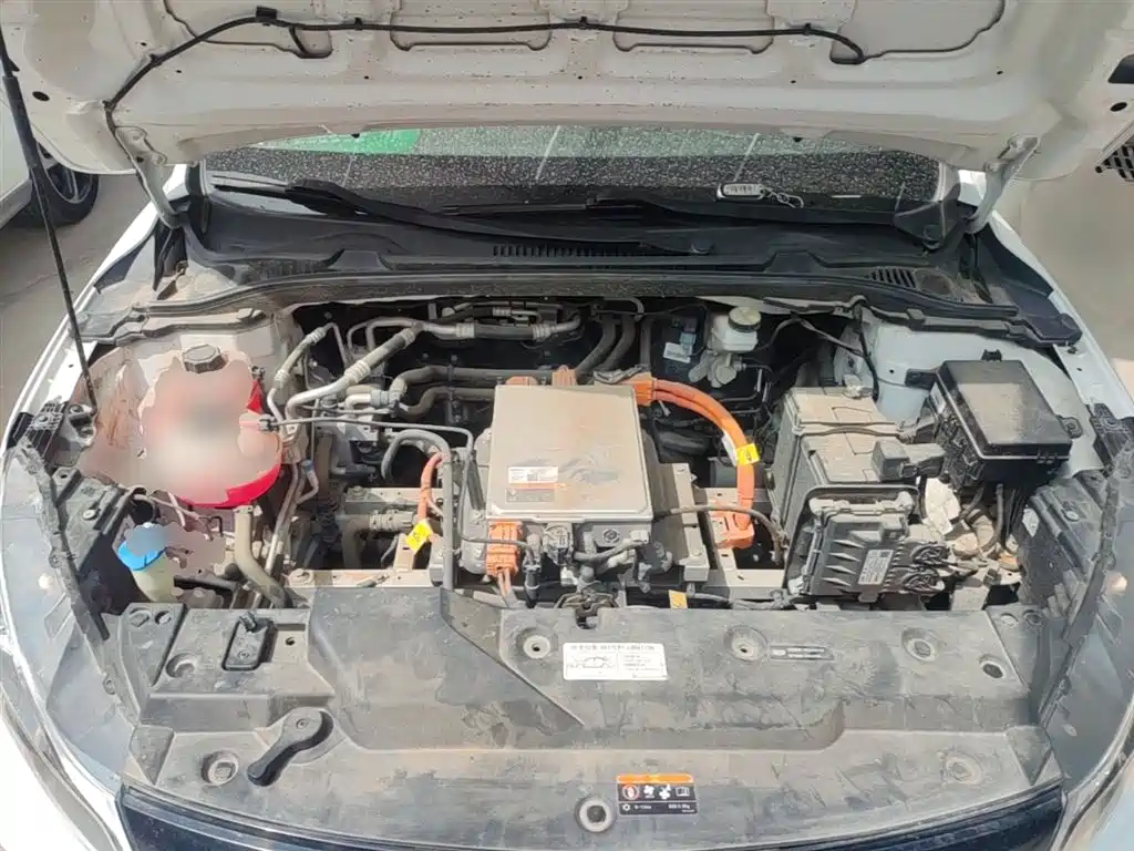 Emgrand New Energy 2021 EV Pro online reservation version купить на сайте DeffCars