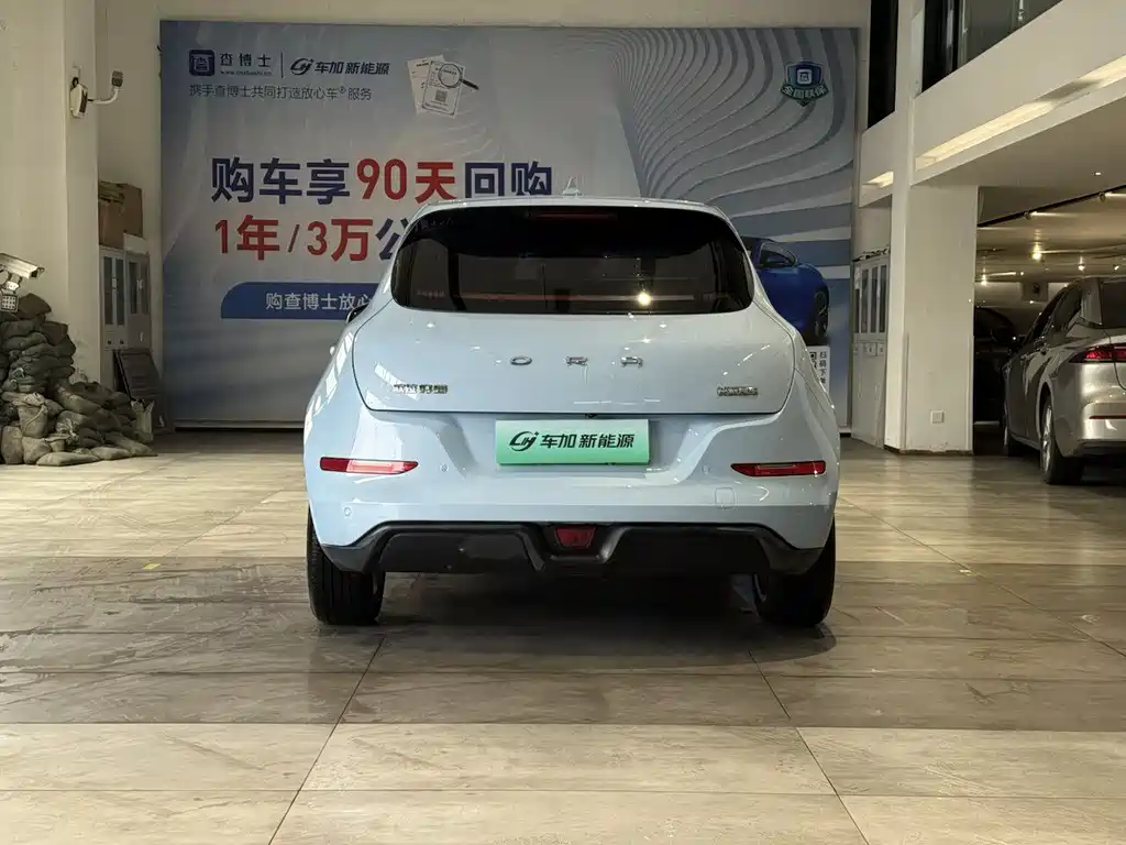 Euler Good Cat 2021 Model 400km Standard Range Venus Edition Lithium Iron Phosphate купить на сайте DeffCars