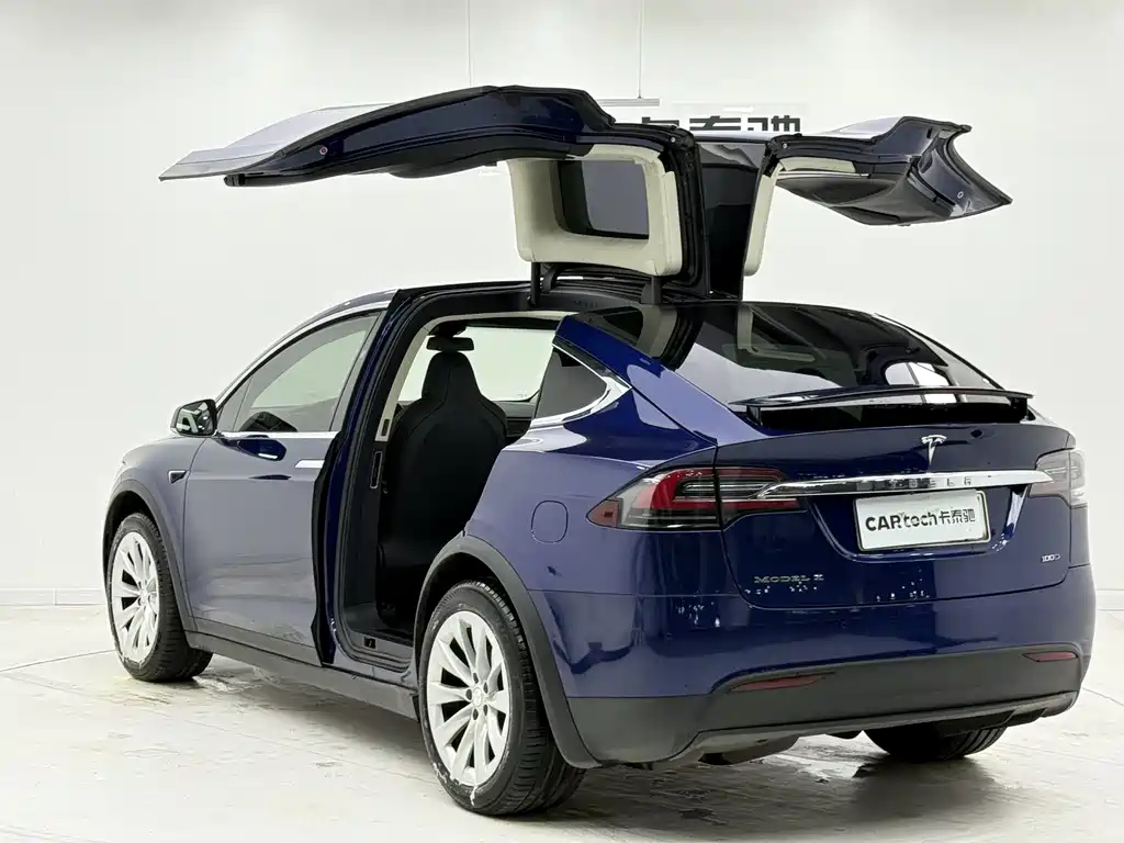 Model X 2017 Model X 100D Long Range Edition купить на сайте DeffCars