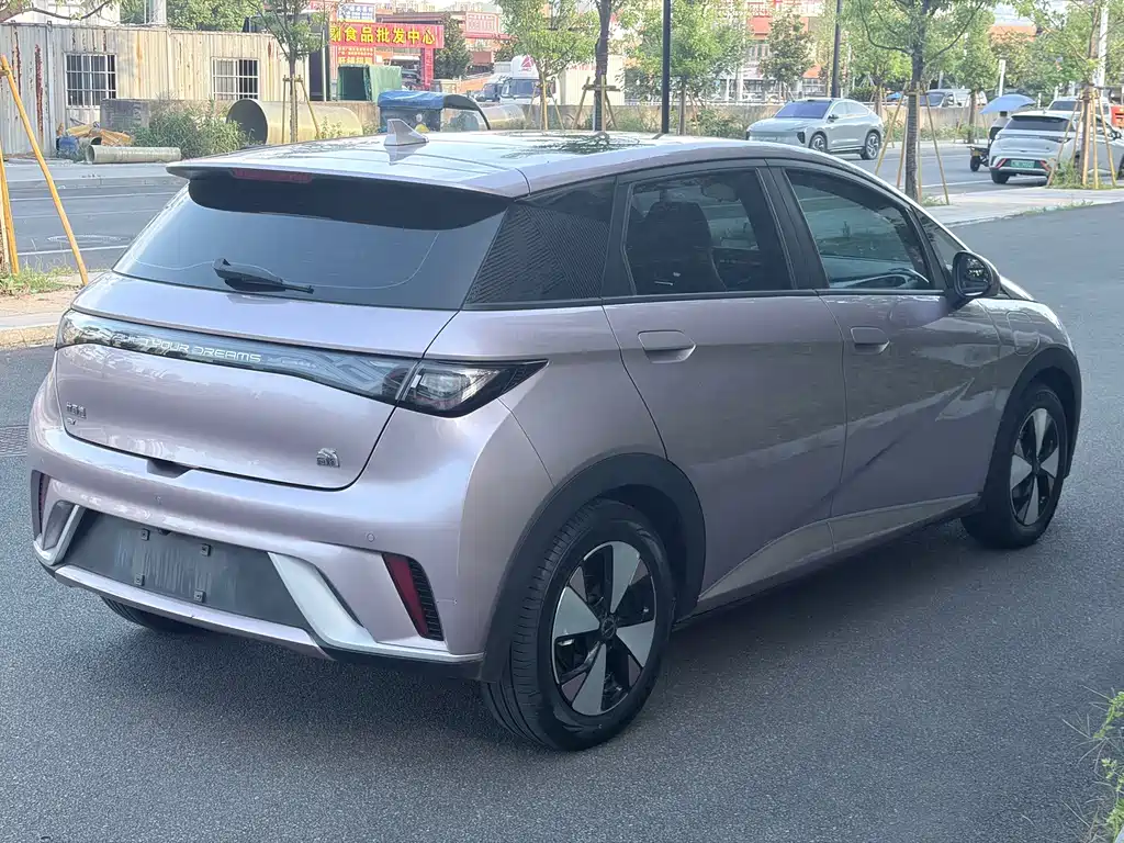 Dolphin 2024 Honor Edition 420km Fashion купить на сайте DeffCars