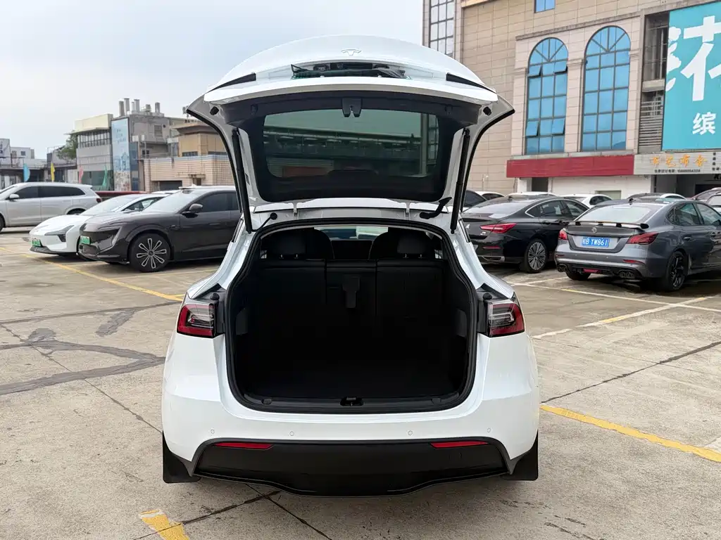 Model Y 2023 rear-wheel drive version купить на сайте DeffCars