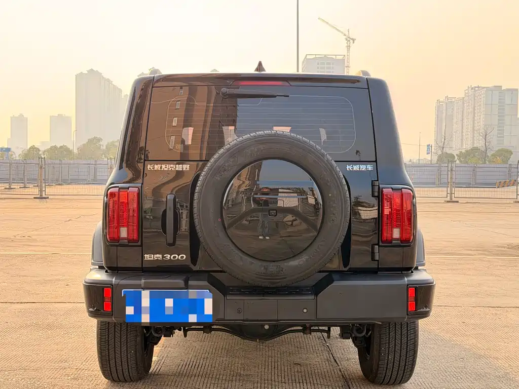 Tank 300 2024 2.0T Conqueror купить на сайте DeffCars