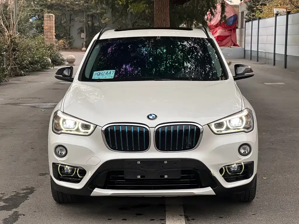 BMW X1 New Energy 2018 xDrive25Le Luxury Model купить на сайте DeffCars