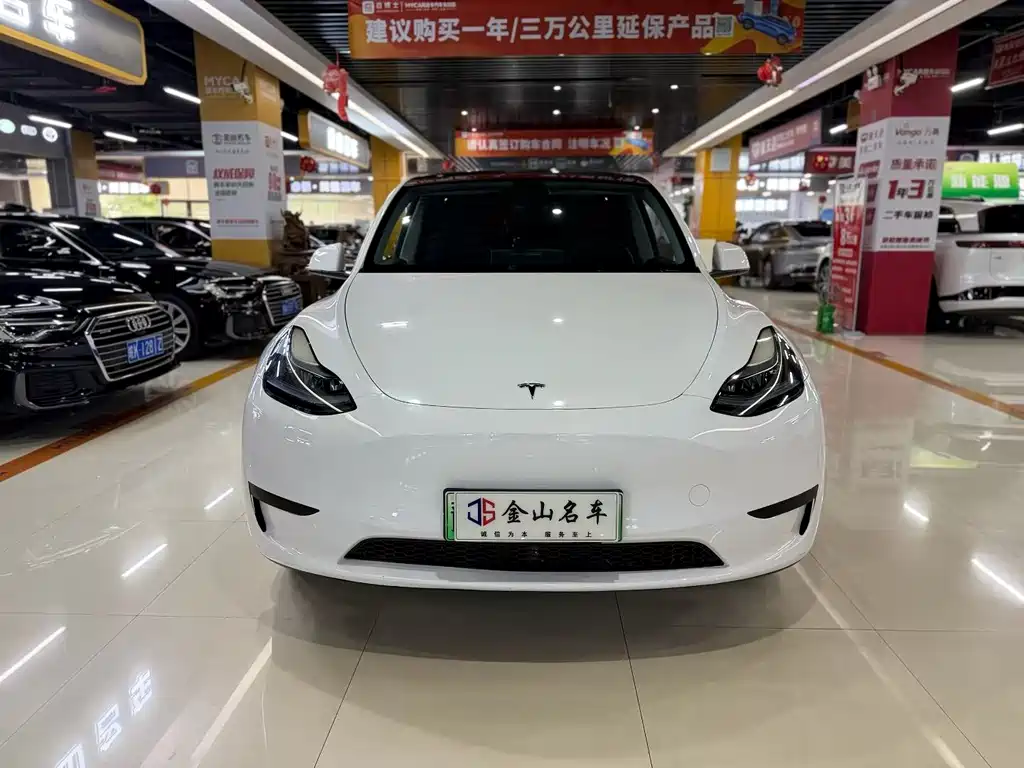 Model Y 2024 rear-wheel drive version купить на сайте DeffCars