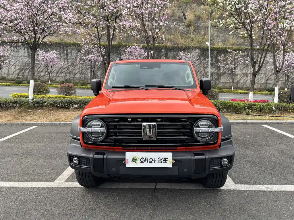 Tank 300 2023 Off-Road Version 2.0T Conqueror купить на сайте DeffCars