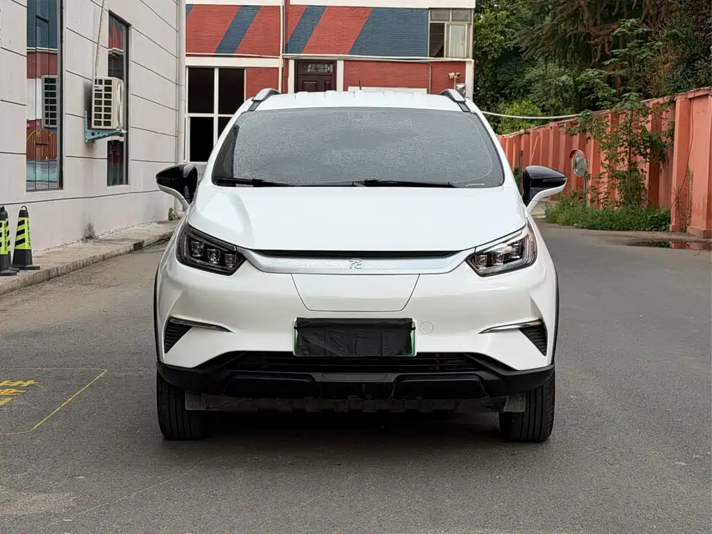 Yuan Pro 2021 must love the Lifetime Edition купить на сайте DeffCars