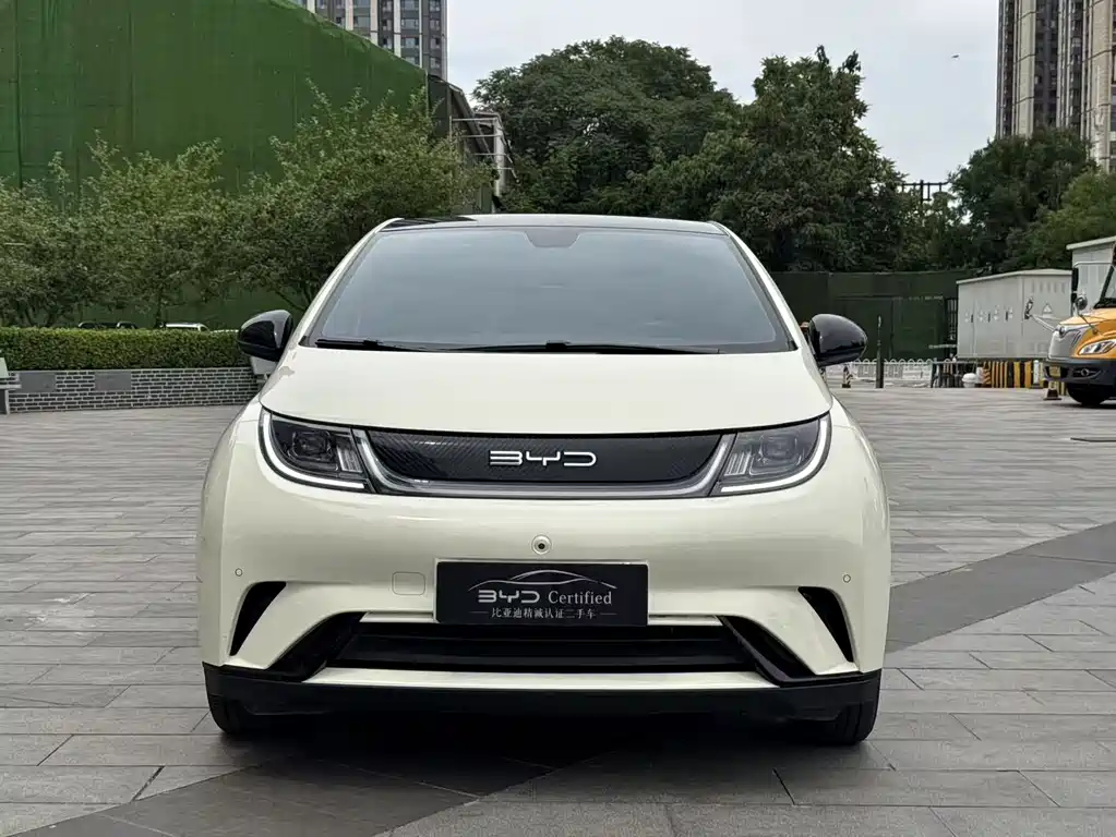 Dolphin 2023 420km Fashion Edition купить на сайте DeffCars