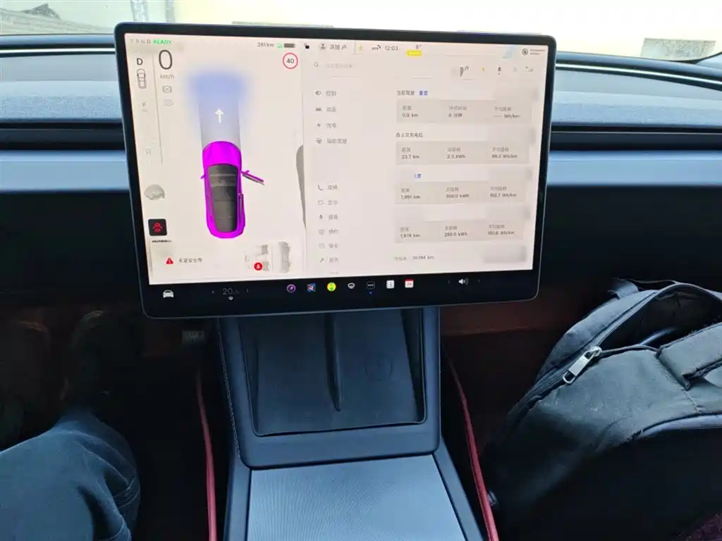 Model 3 2023 rear-wheel drive version купить на сайте DeffCars