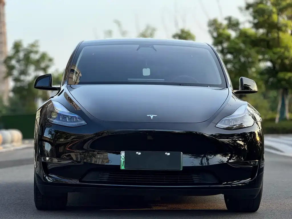 Model Y 2022 rear-wheel drive version купить на сайте DeffCars