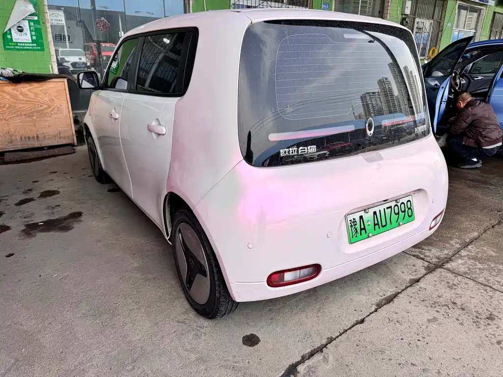 Euler White Cat 2020 360km luxury model купить на сайте DeffCars