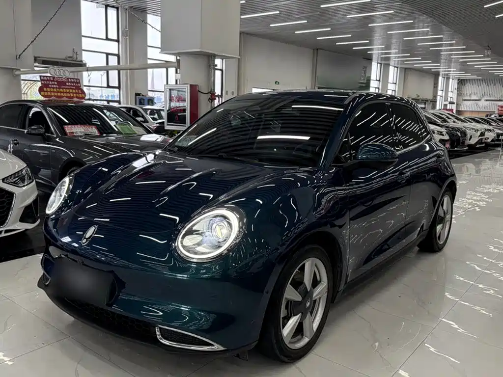 Euler Good Cat 2021 Model 400km Standard Range Athena Edition Lithium Iron Phosphate купить на сайте DeffCars