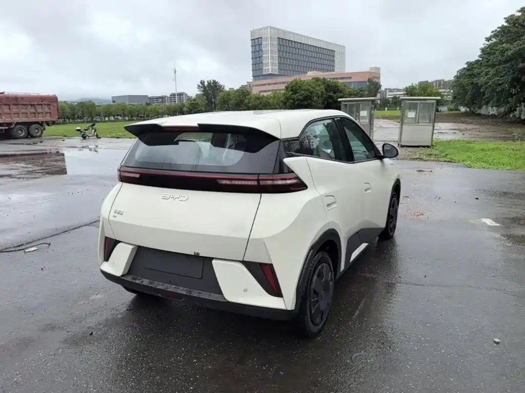 Seagull 2025 Smart Driving Edition 305km Dynamic купить на сайте DeffCars