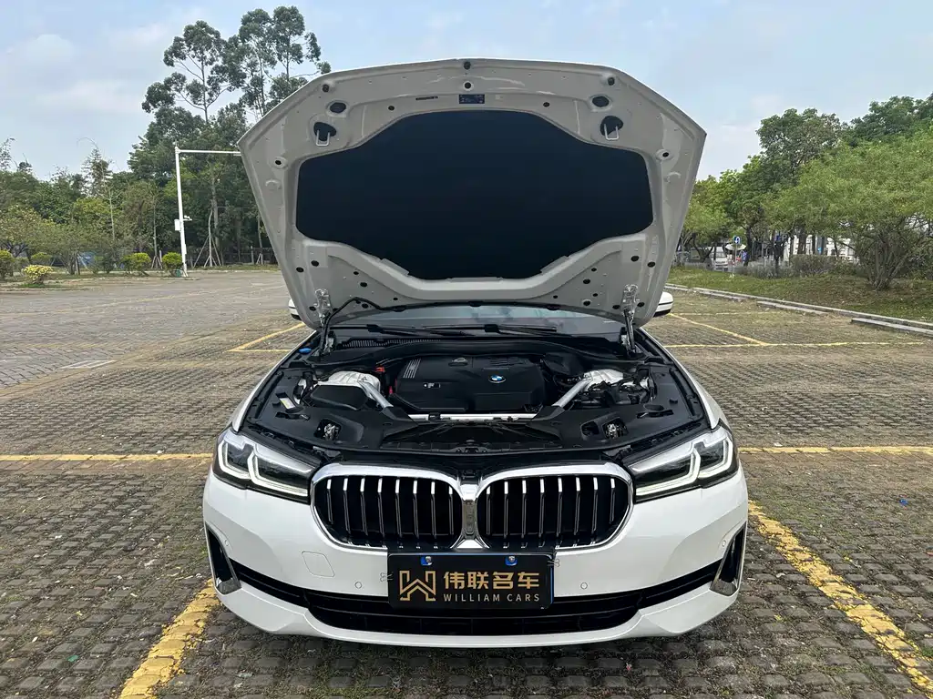 BMW 5 Series 2021 530Li Leading Luxury Package купить на сайте DeffCars