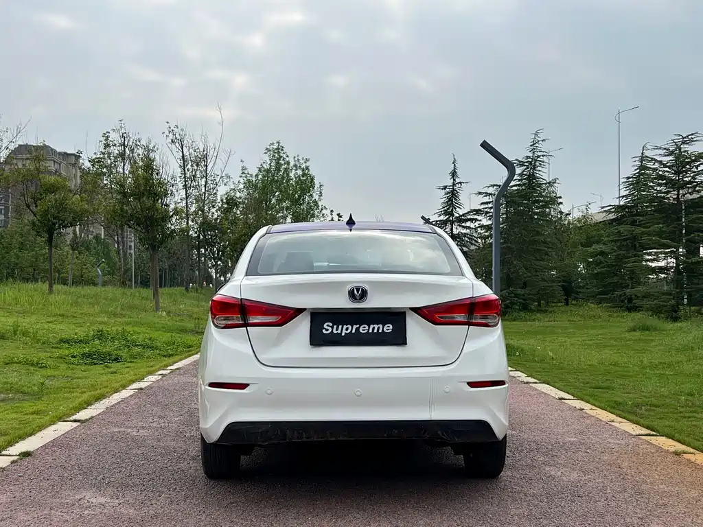 Yuexiang 2019 1.5L DCT luxury model National VI купить на сайте DeffCars