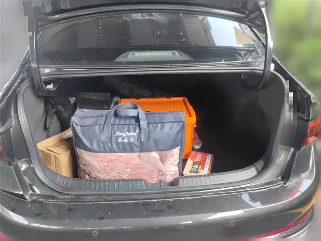 Sagitar 2023 300TSI DSG Super Edition купить на сайте DeffCars