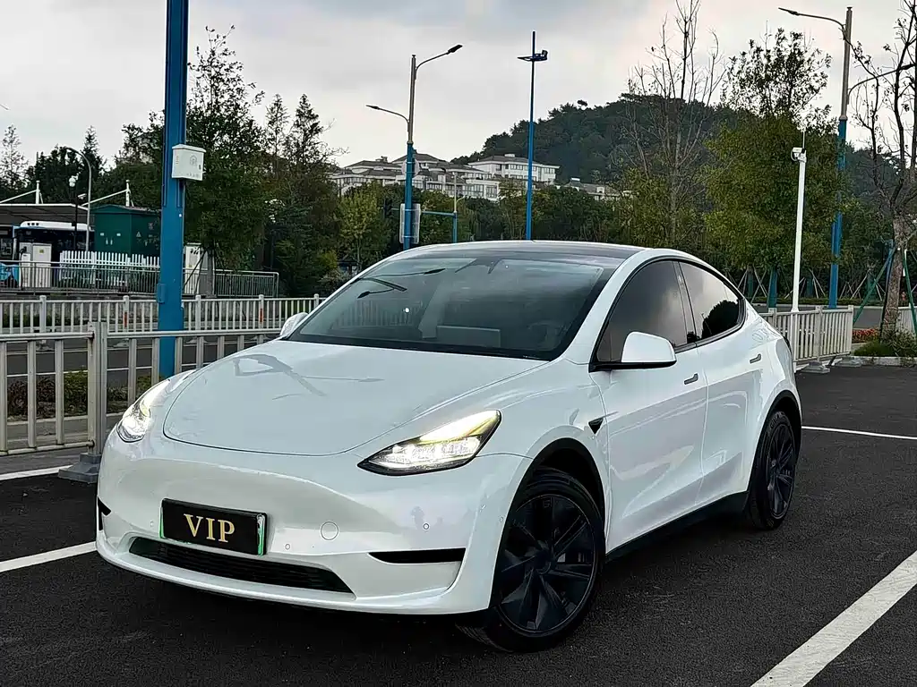 Model Y 2023 rear-wheel drive version купить на сайте DeffCars