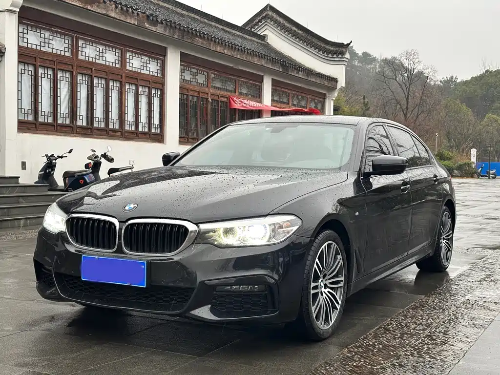 BMW 5 Series 2019 530Li Leading M Sports Package купить на сайте DeffCars
