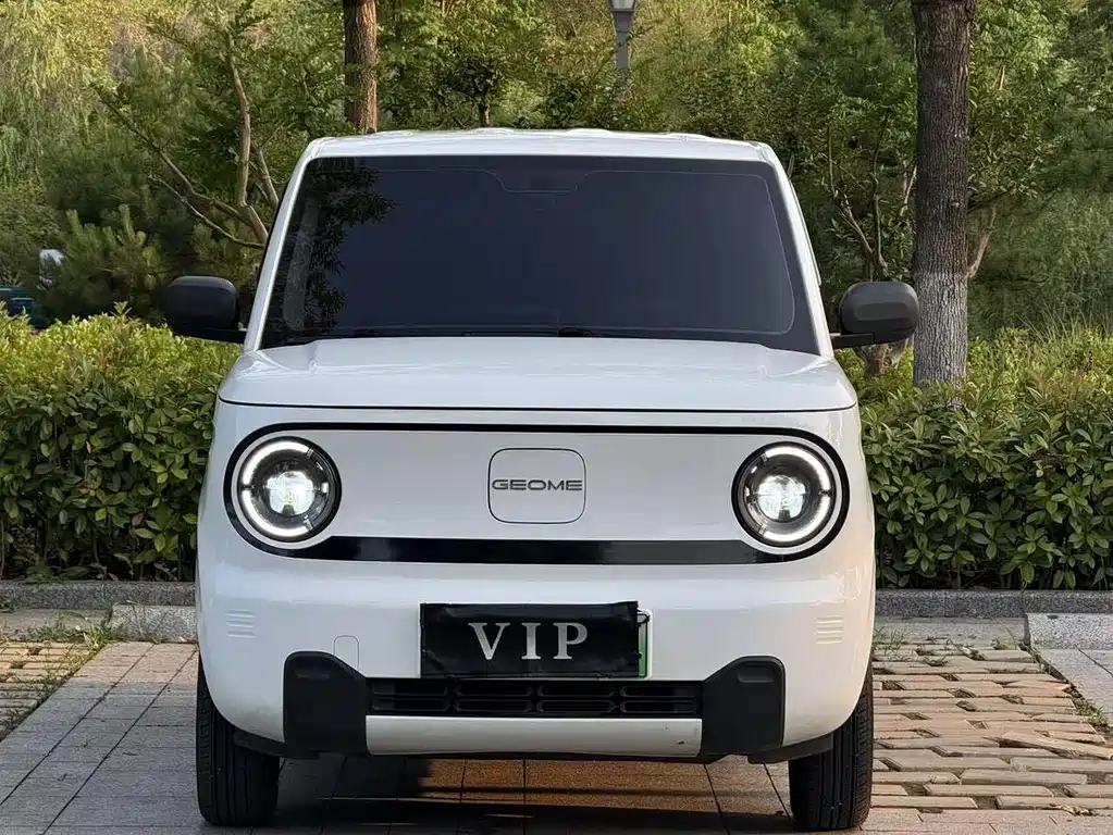 Panda (Geome) 2024 mini 200km Endurance Bear купить на сайте DeffCars