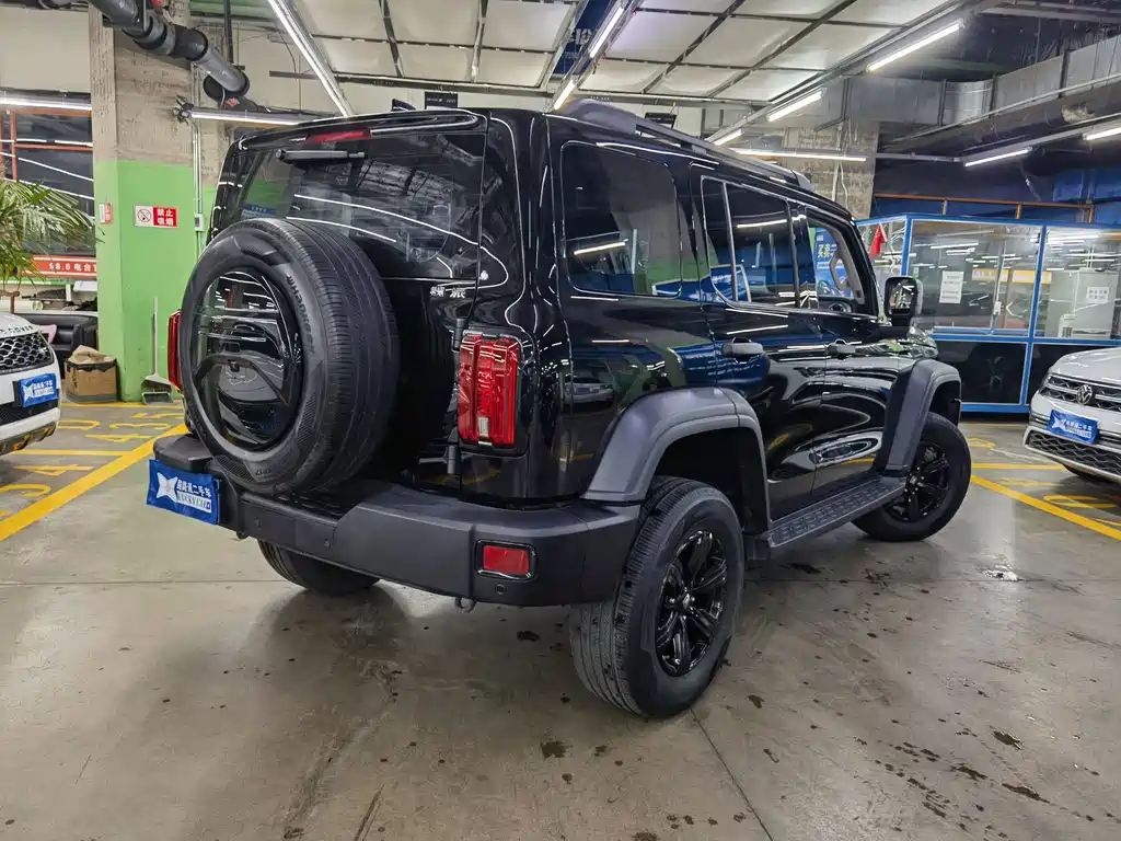 Tank 300 2021 Off-Road Version 2.0T Challenger купить на сайте DeffCars